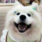 暮肆头像
