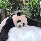 谭允头像