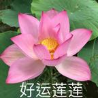 平安喜樂🌙头像