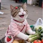 草莓味🍓的小兜兜头像