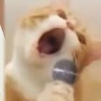 莳央头像