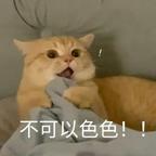 是玥伊喵头像