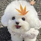 李小溪头像
