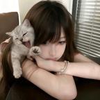 呆萌猫猫头像