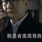 省委高育良头像