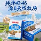 地破c客头像