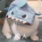 你又在狗叫什么？？？头像