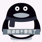舟芒村的凤颜汐头像