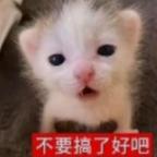 嘎哒嘎哒头像
