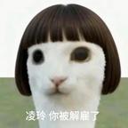 雷霆手腕的肖遥头像