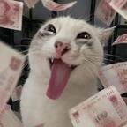 鲨咪头像