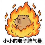 卷筒楼头像