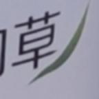 草，是一种态度头像
