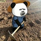 周二果果头像