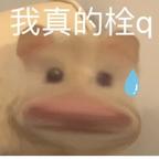 Sanli~呀头像