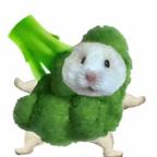 芝士腊肠头像