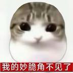 谁看到了我的妙脆角？头像