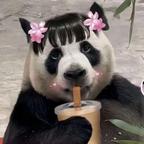 一乐不爱拉面头像