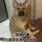 半帅头像