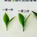 用户27986948头像