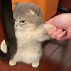 清风明月谓有时头像
