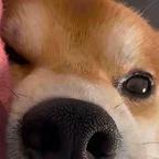 韩憨憨...头像