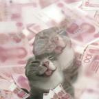 芋圆溜溜头像