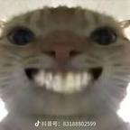 daidai头像