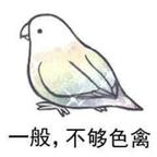 小熊饼干爱情保安头像