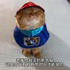 落日与晚风头像