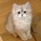 不想看烂片头像