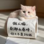 妙剧捕捉手头像