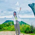 冰雪聪明的zhao头像