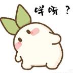未巳头像