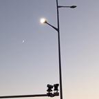 小太阳头像