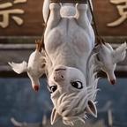 刘头像