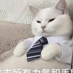 无敌甲士头像