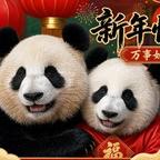 小兰美雪美珙严莉莉头像