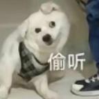 尼—抹—斯—八！！！头像