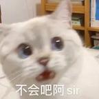 玻璃心听不得真话？头像