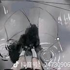 @小蝌蚪头像