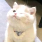 冾个江面头像