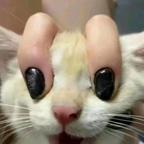专业看剧两年拌饭头像
