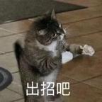 空手打爆头像