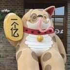z旖旎z头像