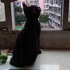 無玥头像