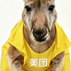 美团老鼠头像