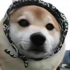 壹颗小饼干头像