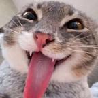 睡睡头像