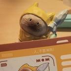 萝卜不吃兔子头像